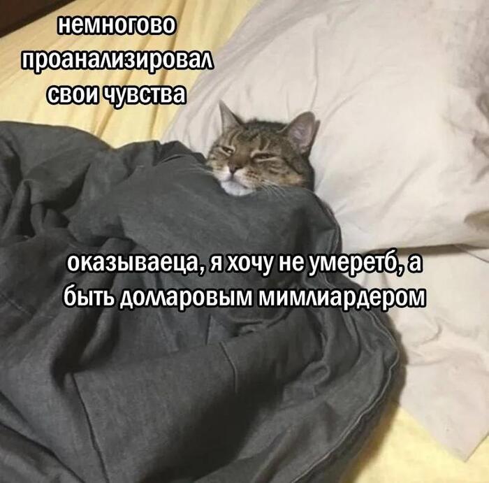 ��� ����� ����� �����!