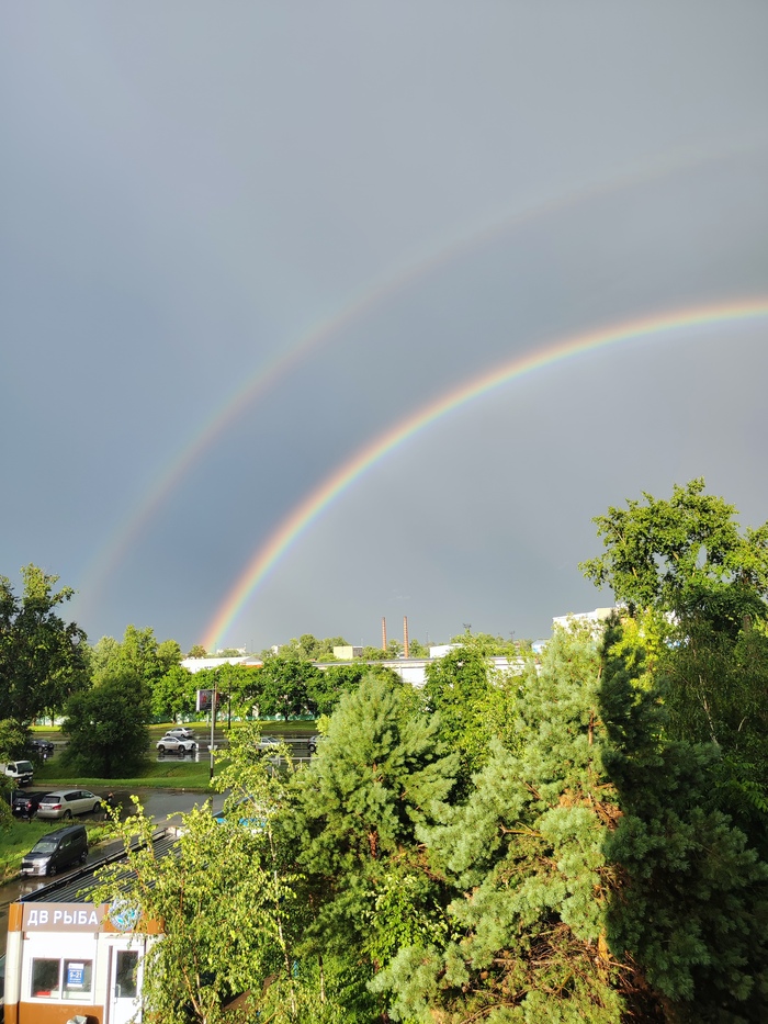 Rainbow