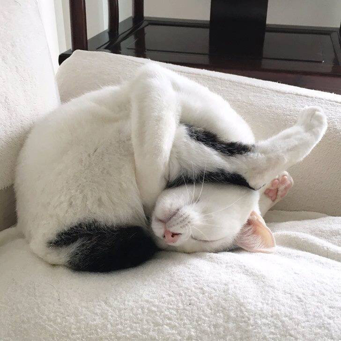 ������