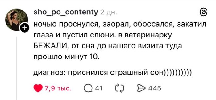 Ветка для тревожных хозяев
