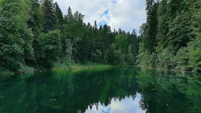 Радоновые озёра в Лопухинке: прозрачная вода и тишина леса вокруг.