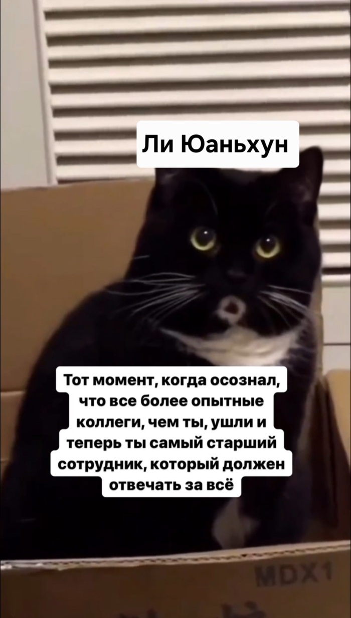 �������� ����.