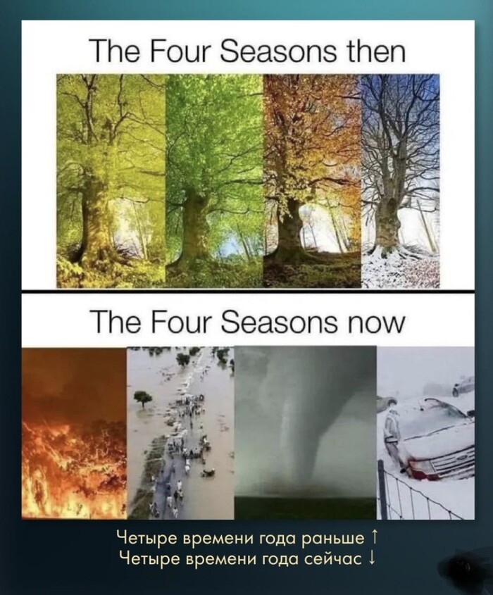 ����� �� ���� ������������ � �������