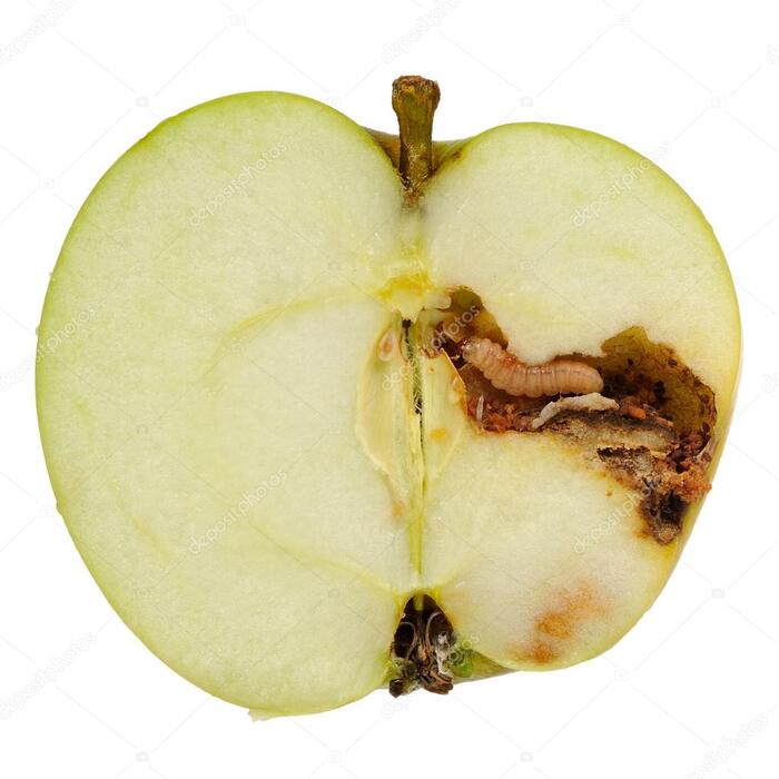 ���� App Store ����� ���� ������������