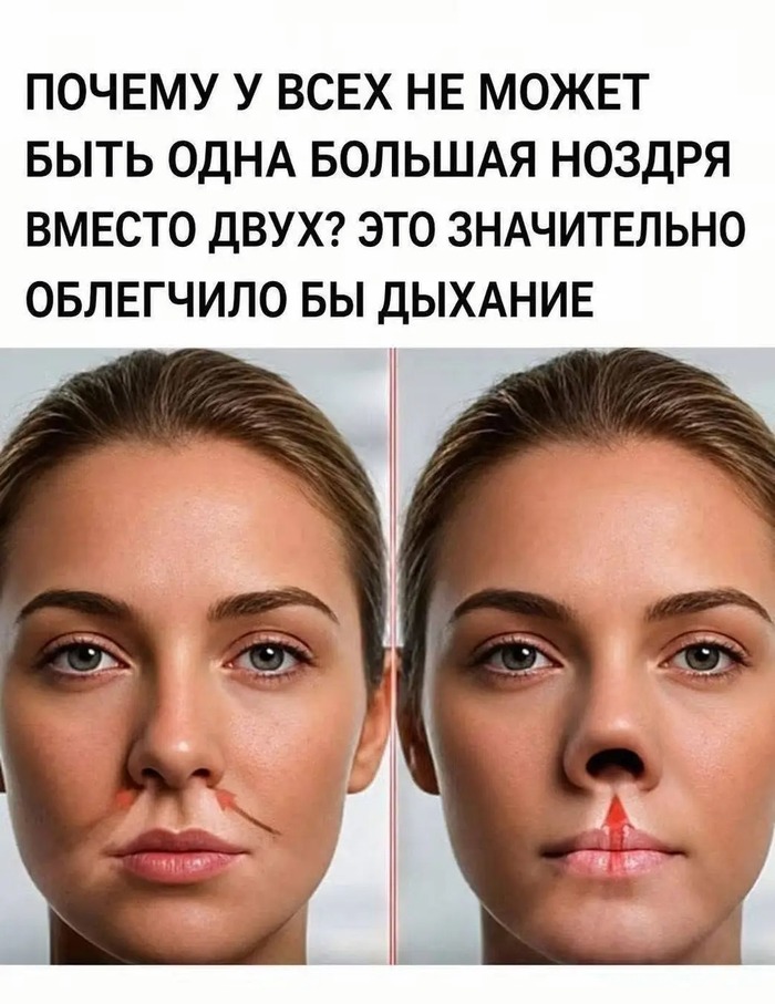 ������ ��������...