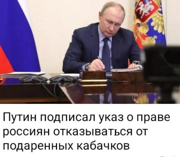 Finally! - Humor, Memes, Zucchini, Vladimir Putin, Picture with text, IA Panorama, Decree, Politics