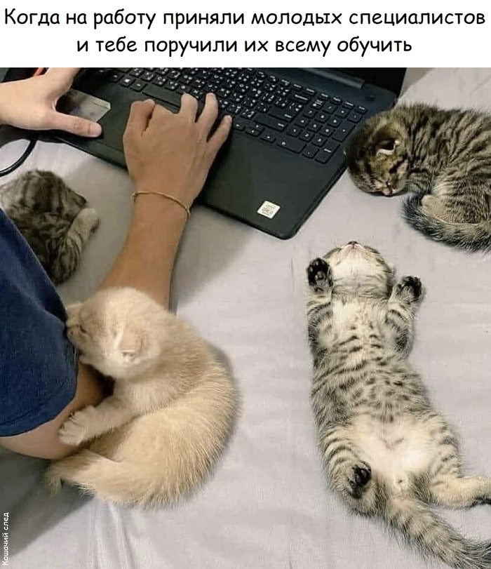 Зумеры
