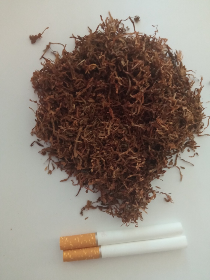 ������� ����� �� ������� �� Bulgar Tobaco