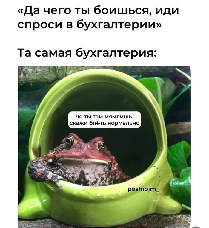 С ужасом и уважением