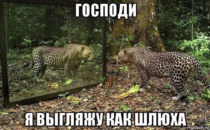 Мода))