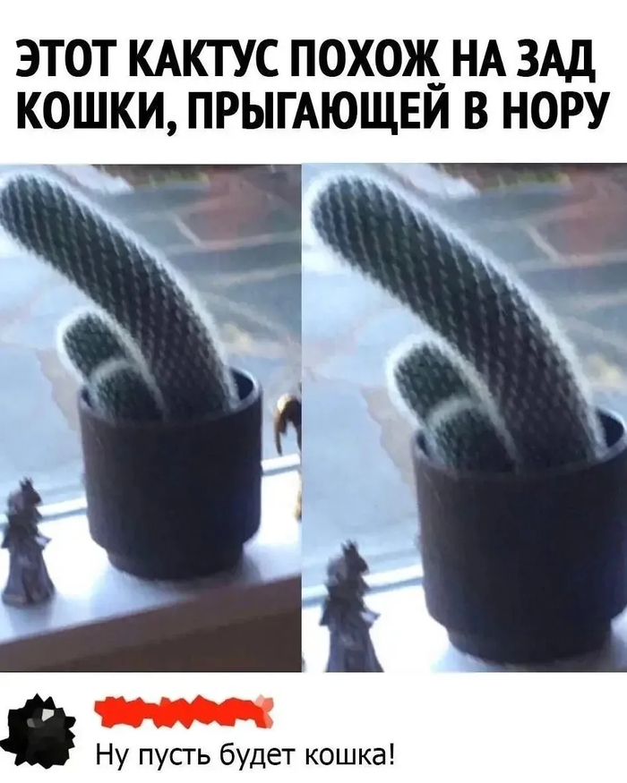 Ассоциации