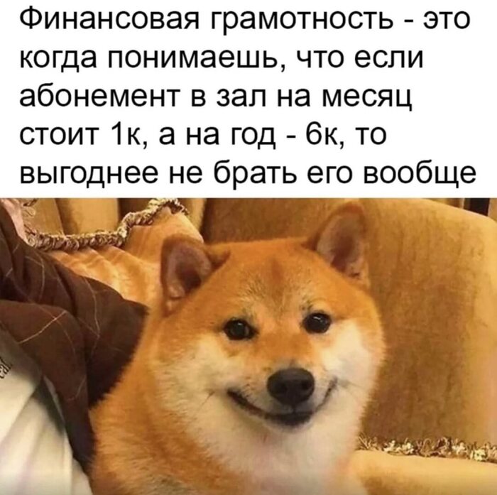 Когда не успел похудеть к лету