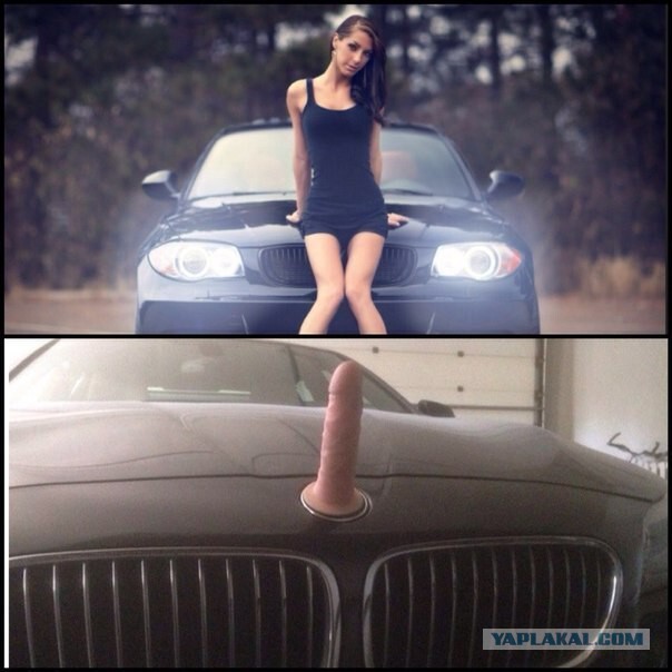 Post of selected, fierce classics 012 - Humor, Images, Longpost