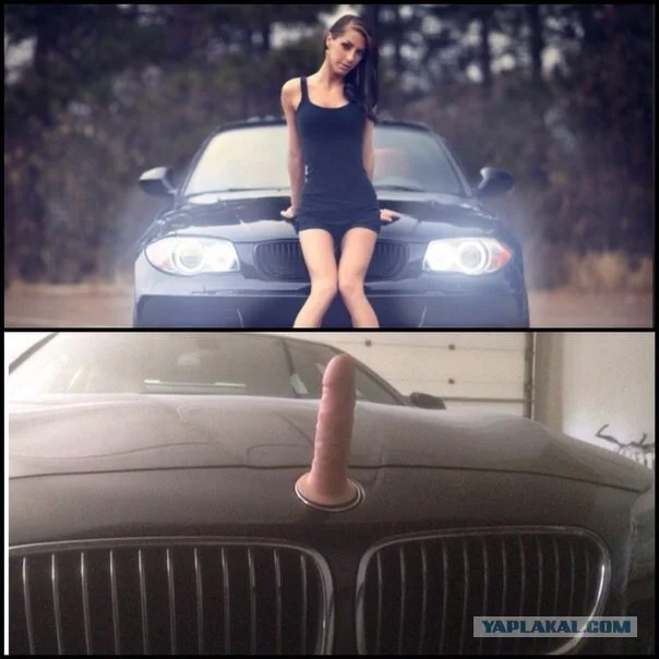 Post of selected, fierce classics 012 - Humor, Images, Longpost