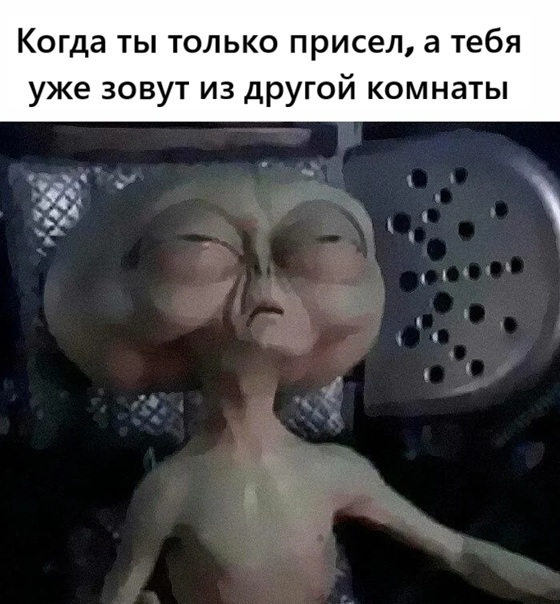 стараюсь выкладывать по 2-3 мемеса в день