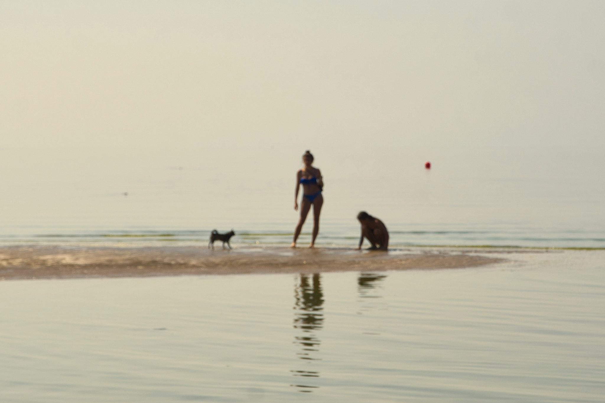 haze - My, Saint Petersburg, Street photography, Photographer, The photo, Summer, Heat, Beautiful view, Beach, Walk, Sestroretsk, The Gulf of Finland, Sestroretsky Resort