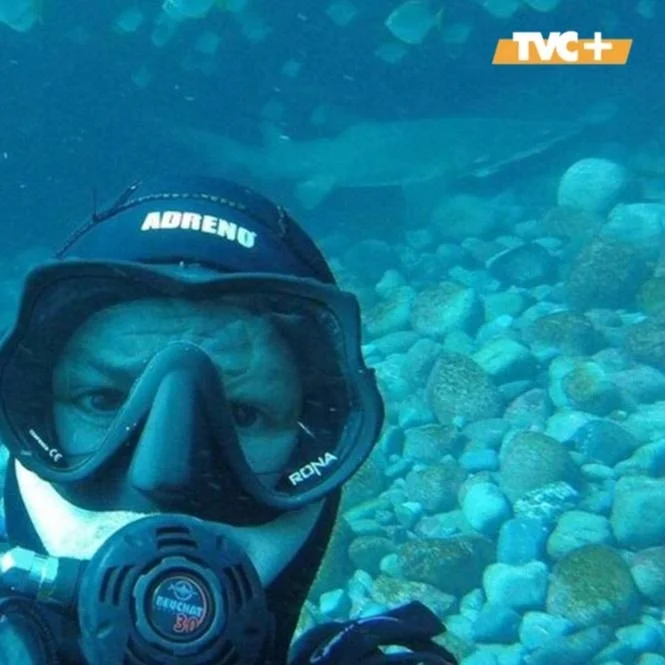 Dangerous hugs: Australian diver manages to tame a shark - Series Interesting in VK, Kindness, The senses, Ocean, Shark, friendship, Person, Longpost