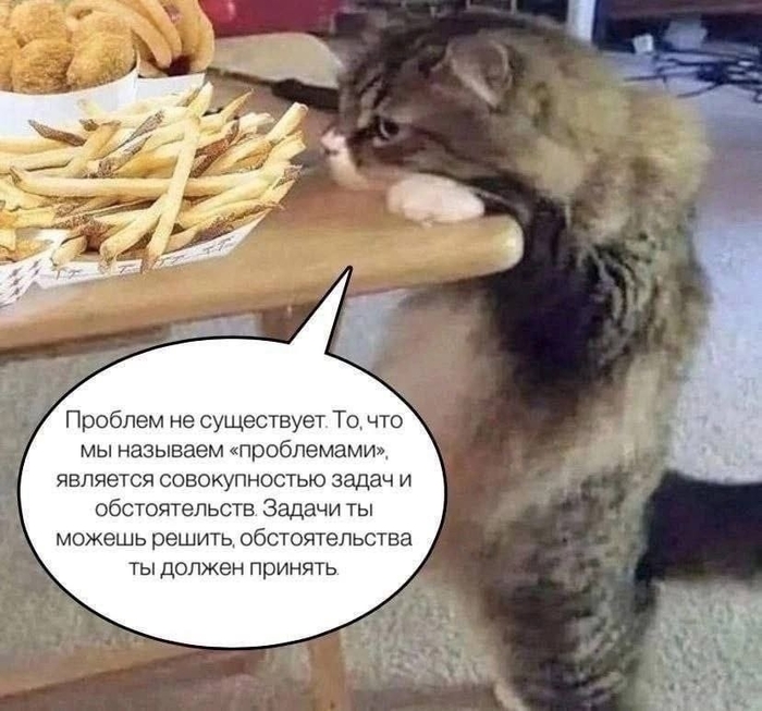�������� ������ � ��� ����� ������ :3