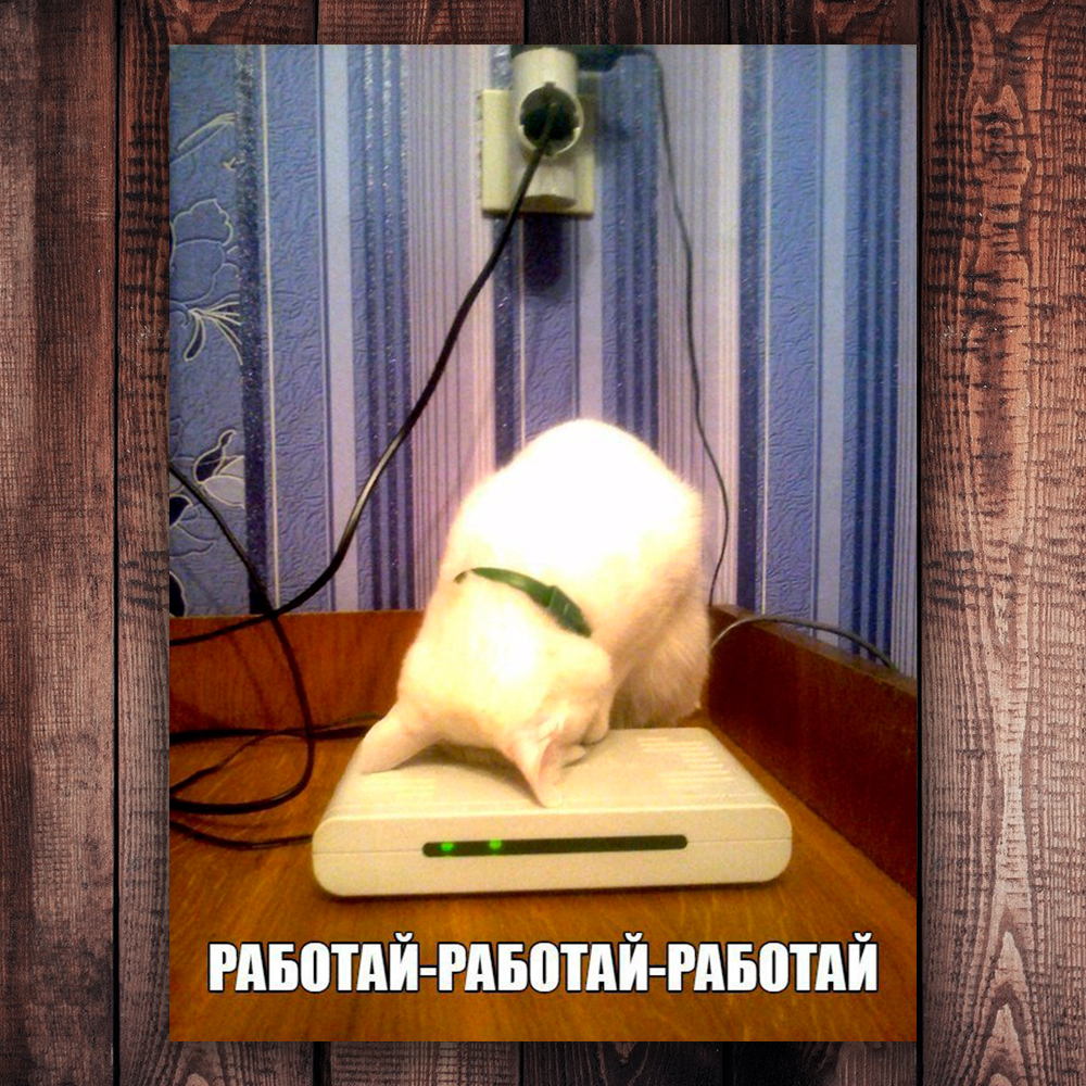 I can almost hear him purring in the 90s from the photo. Dial-up modem – the times when a single image took two hours to load. - My, Childhood of the 90s, Humor, 90th, Internet, 2000s, Old school, Longpost