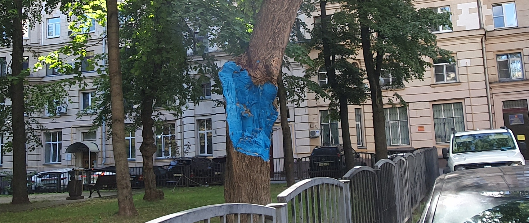 Creative Housing Manager - My, Survey, Housing and communal services, GBU Zhizhnik, Officials, Moscow, Tree, Longpost