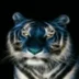 user12056049