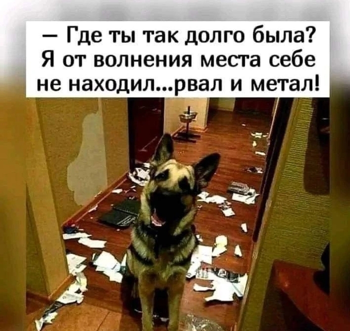 Дождался