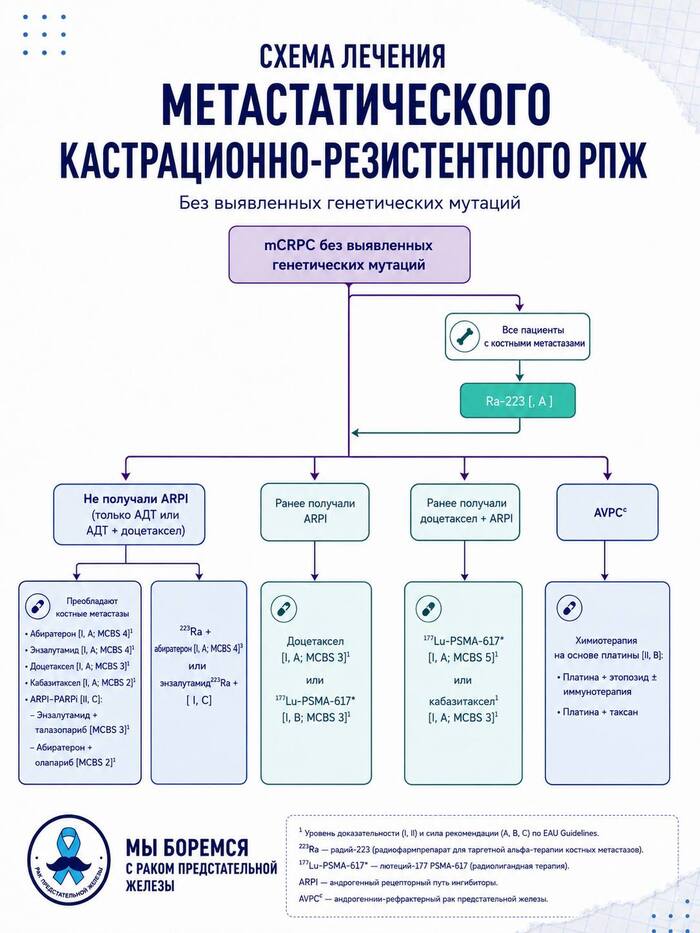 Схема лечения метастатического гормонрезистентного (нечувствительного) рака предстательной железы