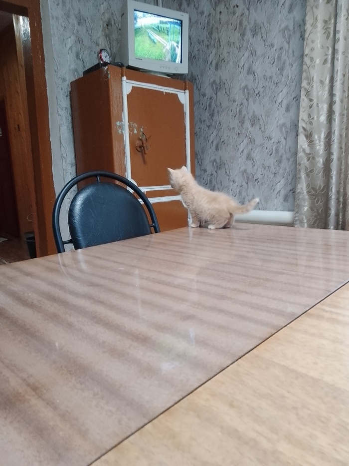 - �� ����? - ����� ������!