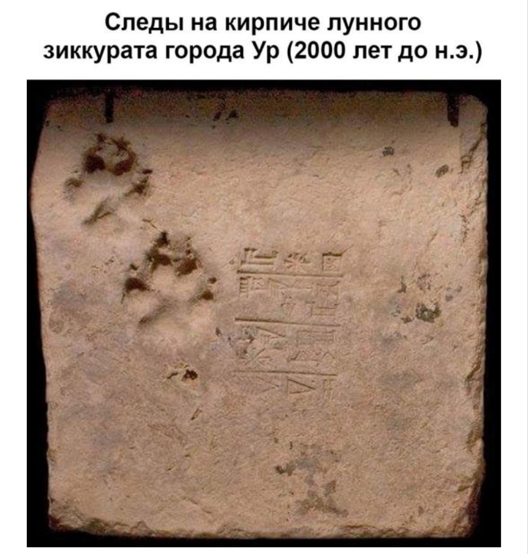 Cuteness - Ancient artifacts, Humor, Repeat