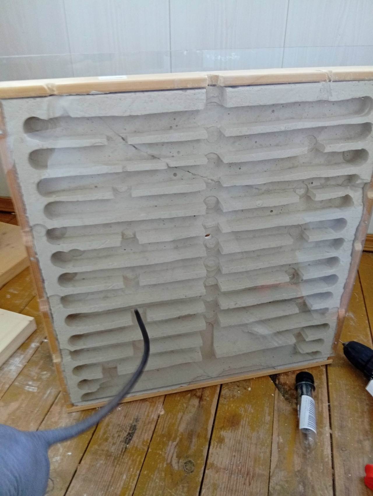 How to Grow an Ant Empire from a Single Test Tube. Part 1: Startup Capital and a Spoiler for the Future - My, Ants, Ant farm, Myrmecology, Messor Structor, Insects, Longpost, With your own hands
