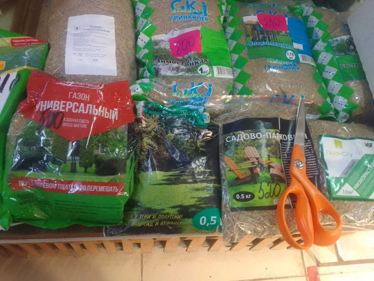 I feed the cats - My, Homeless animals, Saint Petersburg, Helping animals, cat, Longpost