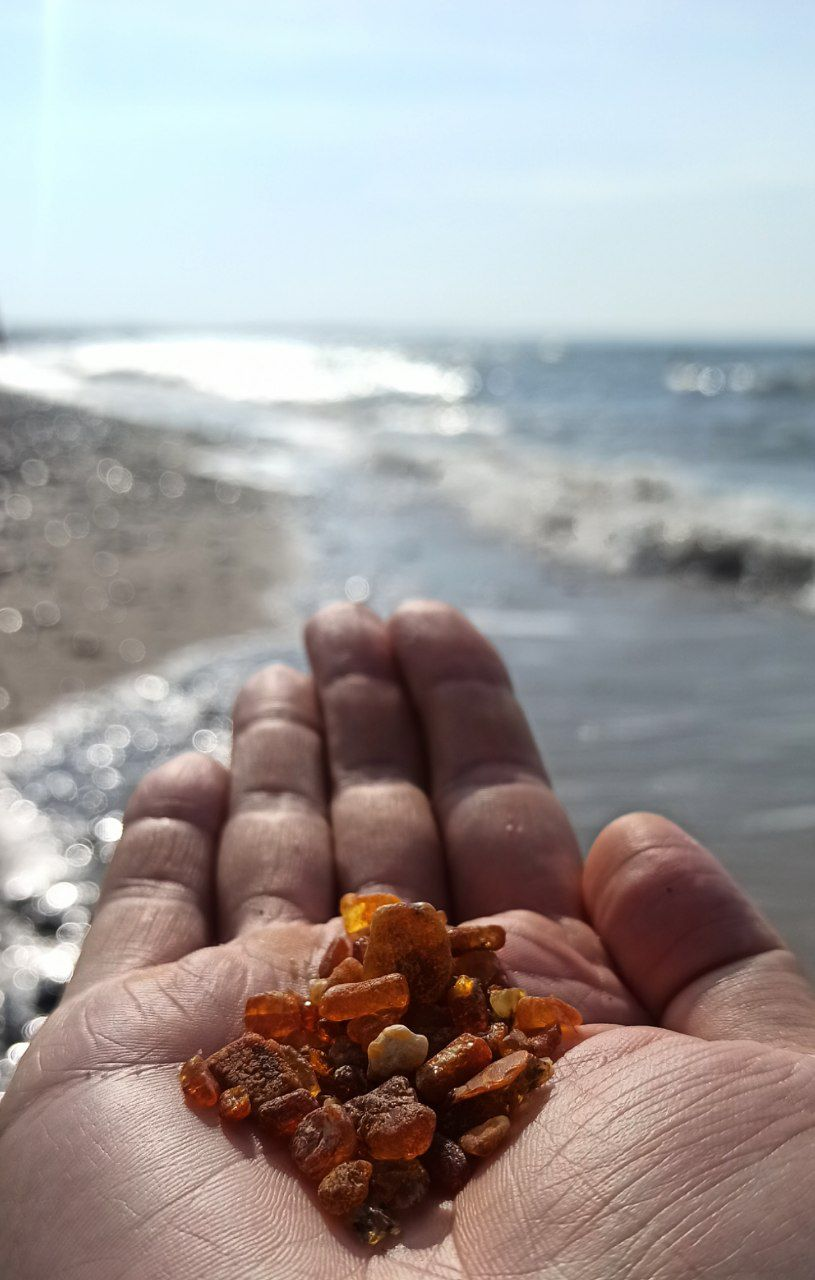 Let's end the week right - My, Sea, Relaxation, Beach, Summer, Baltic Sea, Kaliningrad, Kaliningrad region, Travels, Travel across Russia, Interesting places, Tourism, Longpost