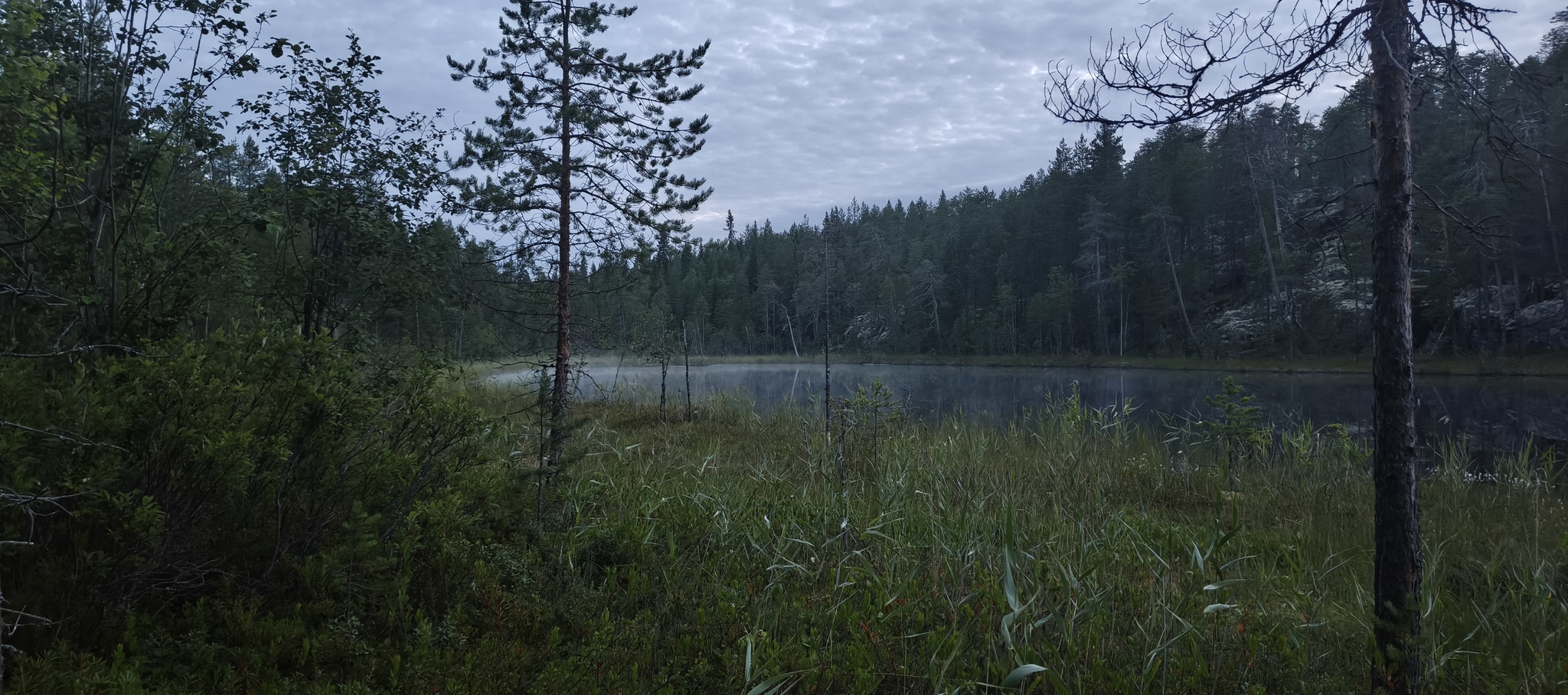Walking from Moscow to Vladivostok. Across the Arctic, along the Northern Sea Route. Fully immersed in local culture. - On foot, Moscow, Louhi, Карелия, Teriberka, Vladivostok, Longpost