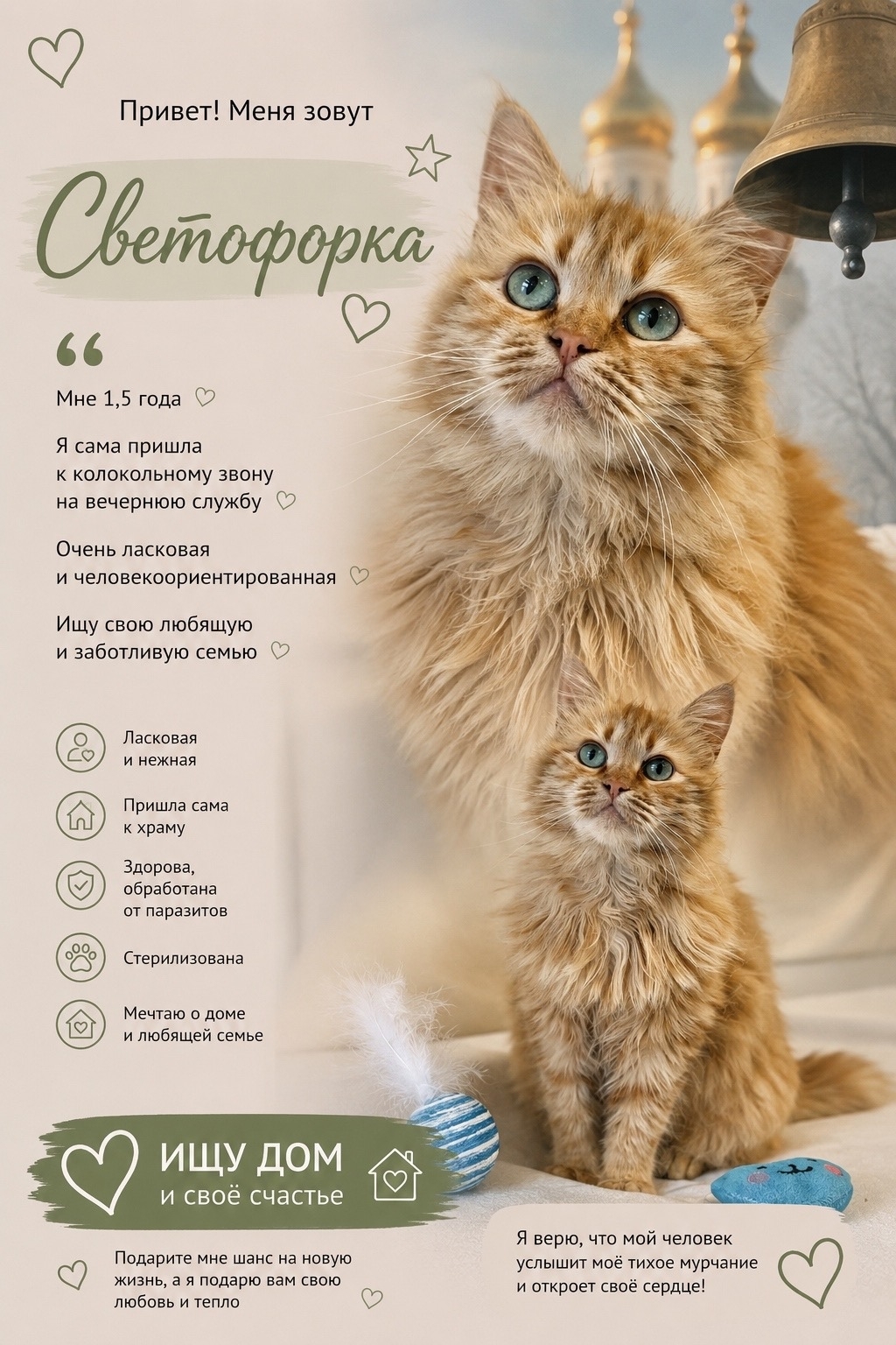 Dumped near Svetofor, found at the altar. Red-haired parishioner looking for a home. - cat, In good hands, Moscow, Saint Petersburg, Voronezh, Lipetsk, Telegram (link), Longpost