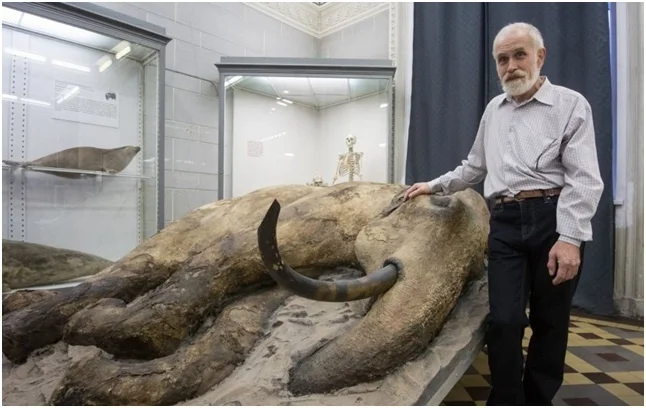 Zhenya the Mammoth: How a Boy from Taimyr Set Back Arctic History by 13,000 Years - Mammoth, Taimyr, Mammals, Animals, Wild animals, Scientists, Paleontology, Zen, Yandex Zen, Yandex Zen (link), Longpost