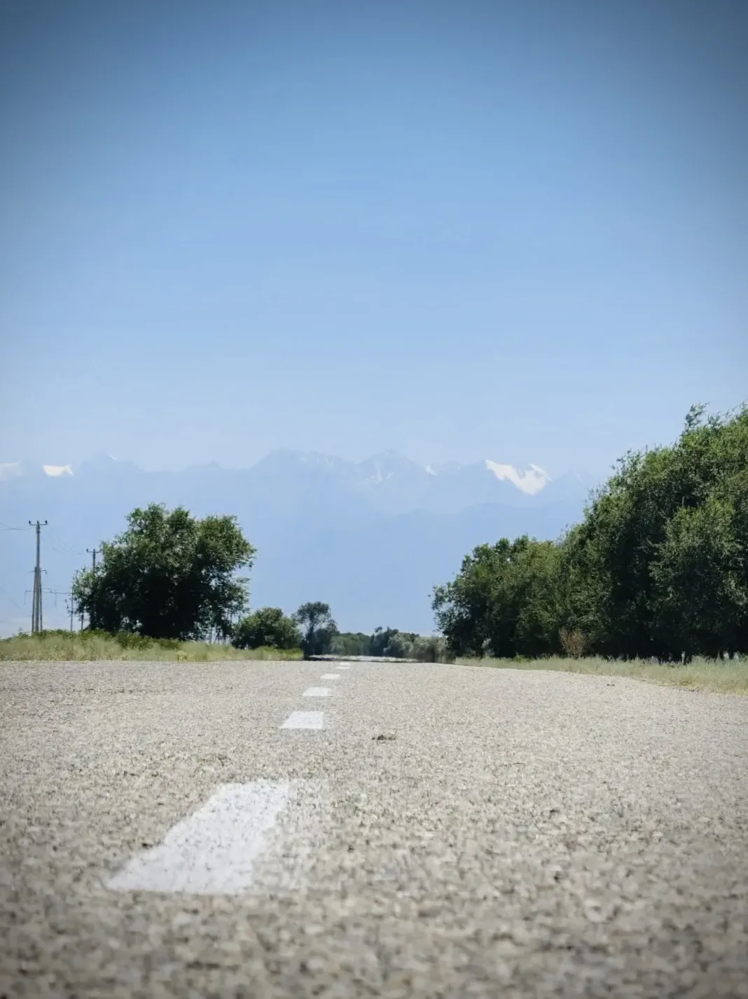 Part 6. “Those who went”, Moscow - Kazakhstan - Moscow, Day 6 -7: Kyzylorda - Shymkent - Almaty - Series Travels, My, Kazakhstan, Road trip, Tourism, Interesting places, sights, Drive, Leisure, Longpost