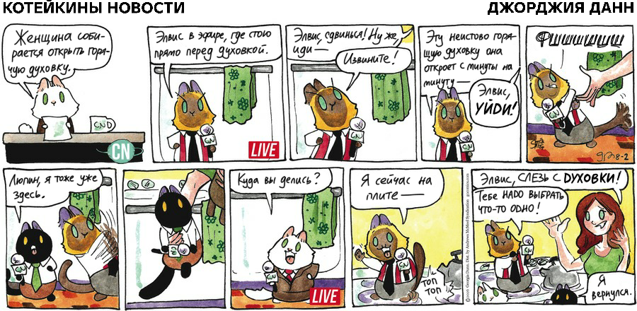 Koteikiny News from August 2, 2026 - My, cat, Comics, Translation, Koteikin news (comic)