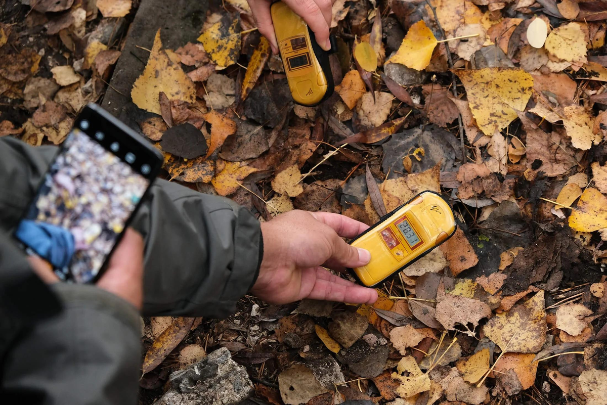 What's being found in the Chernobyl zone 40 years later: facts that are difficult to explain - My, Land, Biology, Nauchpop, History (science), Research, Evolution, Scientists, История России, Civilization, Education, Myths, The science, Ancient artifacts, Paleontology, Legend, Chernobyl, Facts, Planet, Longpost