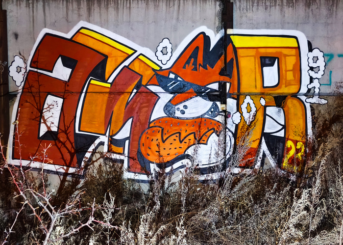 FOX на Амуре
