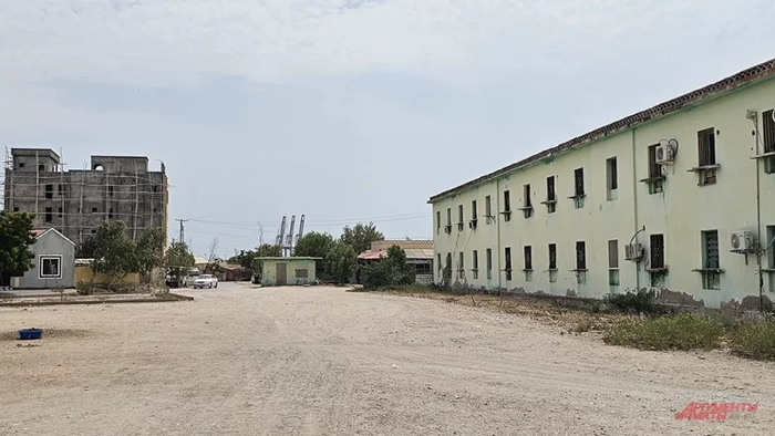 © АиФ / Георгий Зотов