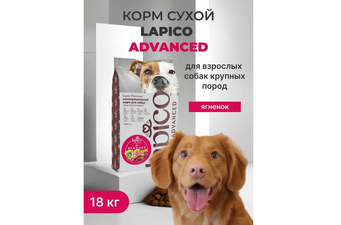 ������������������ ����� ���� Lapico Advanced Maxi �� ������� � �������� ����������� ���������.