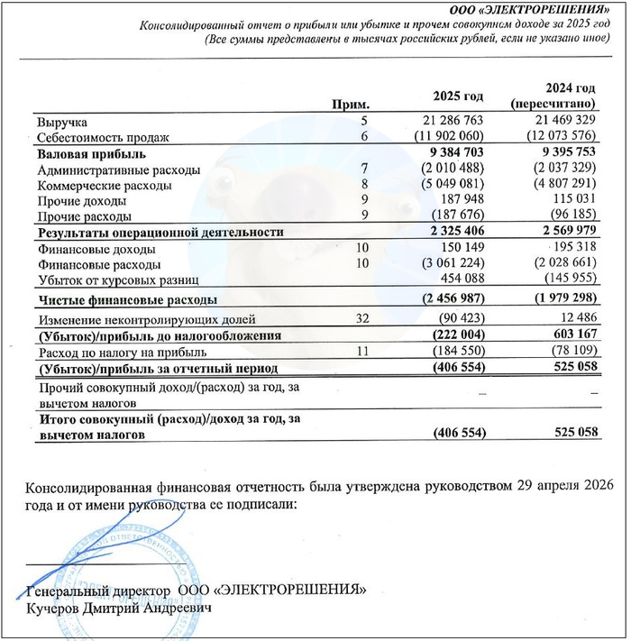 Источник: отчет ООО «Электрорешения» по МСФО за 2025