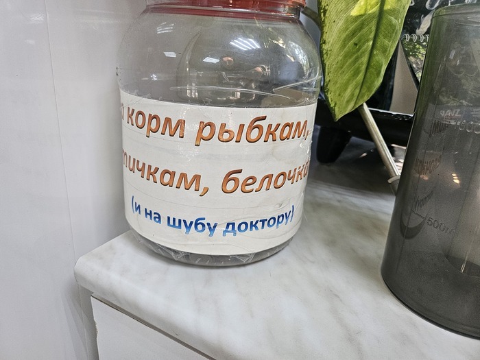 на корм рыбкам, птичкам, белочкам (и на шубу доктору)