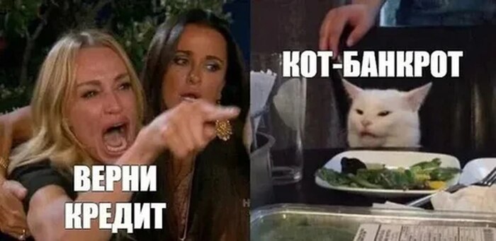 Кредиторы и кот-банкрот