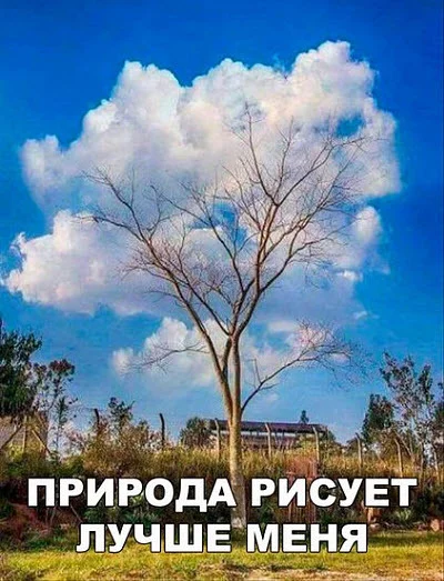 Вечерняя подборка юмора из просторов - Юмор, Мемы, Картинка с текстом, Подборка