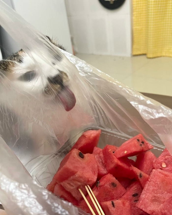 Силовое поле