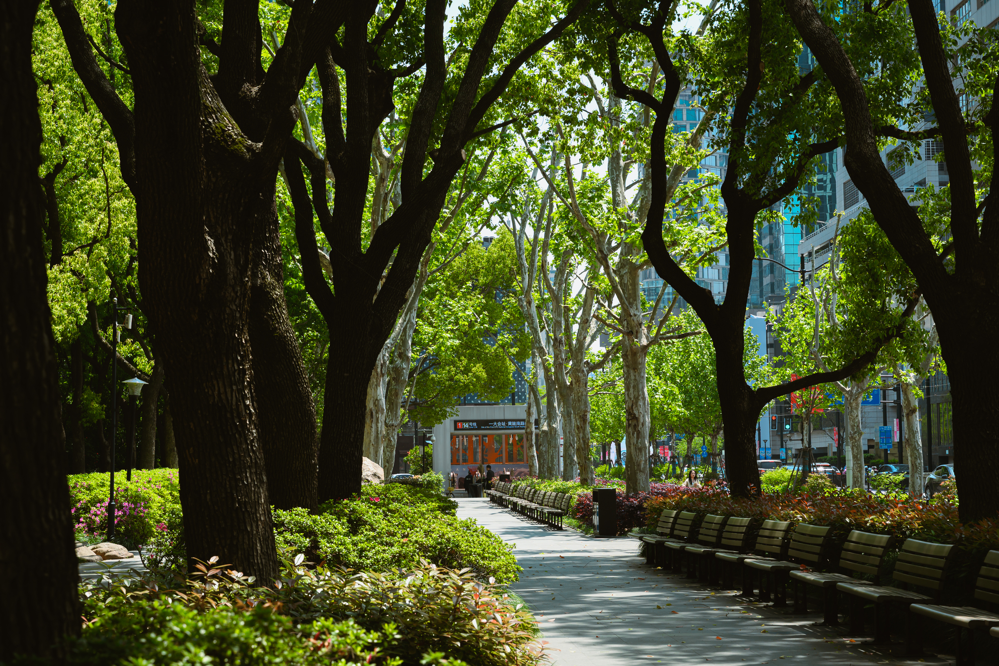 Garden city - Series Travel notes China, My, Travels, China, Asia, Around the world, Longpost