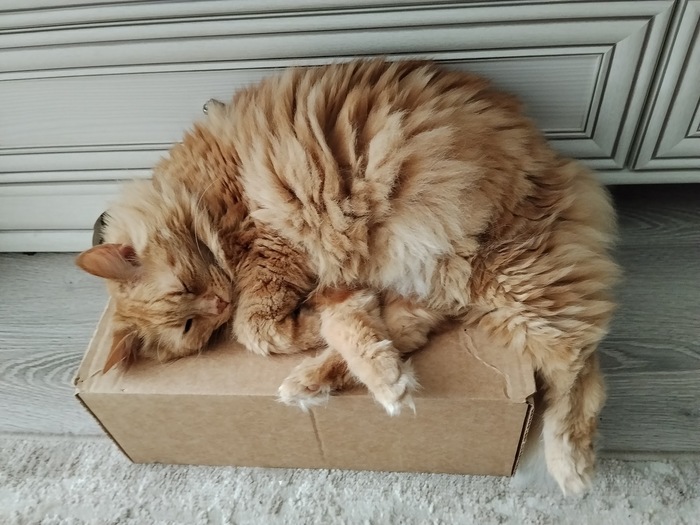 Коробковое