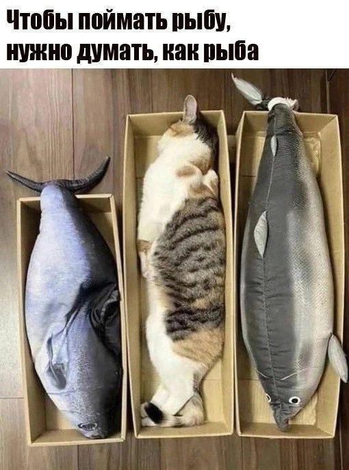 ����� ��� ���������� ��� ���� ����� �����)