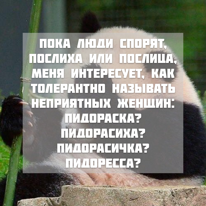 Ответ Elladan в «Он прав?»